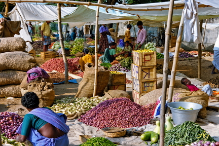 2000-01 image0201 marche en inde